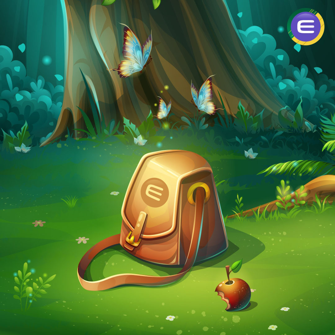 The Forgotten Enjin Bag